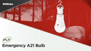 PLT LED A21 Emergency Light Bulb  Product Spotlight [upl. by Eloise]