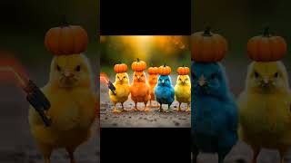 Anak ayam warna warni dan Labu duet funny fpy voiceeffects jedagjedug birdsounds shorts [upl. by Yllom]