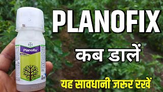 Planofix  Bayer Planofix  Bayer Planofix Technical  Planofix Plant growth regulator [upl. by Ettenoj]