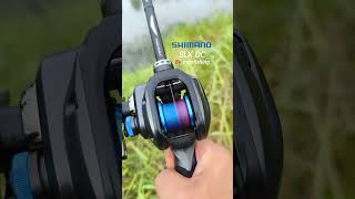 SLX DC เสียงDCเล็กๆ นี้ปกติไหม shots fishing shortvideo [upl. by Anar]