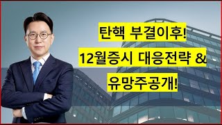 탄핵 부결이후12월증시 대응전략 및 유망주공개의 사본 [upl. by Ynnot]