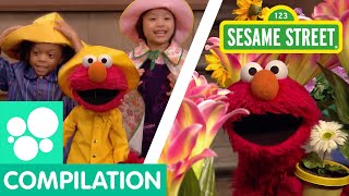 Sesame Street Spring Songs Compilation  Elmos Butterfly Friend and more [upl. by Nos732]