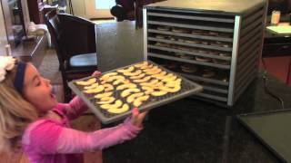 How to make dried Apple Chips  Lem 10 Tray Dehydrator dehydrate Apples [upl. by Sansone984]