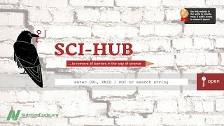 Sci Hub Opens Up a World of Knowledge [upl. by Malissia]