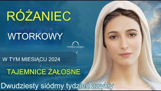 Wtorkowy różaniec 💙 Bolesne tajemnice różańca 💙 12 października 2024 WIRTUALNY RÓŻANIEC [upl. by Ellemac]