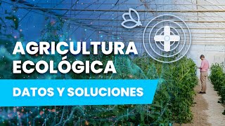 Agricultura ECOLÓGICA bajo invernadero en España 🇪🇸 [upl. by Asilej224]