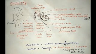 Ototoxicity toxicity toxicology drugs pharmacology [upl. by Christan411]