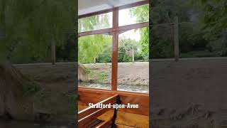 Stratford upon Avon uk fypシ uk shortvideo fypyoutube kindziaxofficial dc [upl. by Kei]