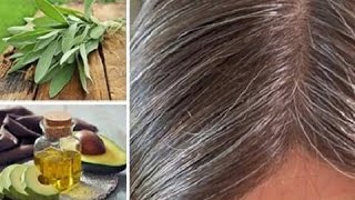 Porque Salen Las Canas A Temprana Edad  7 Remedios Caseros Para Las Canas  Mejor Salud [upl. by Bron683]