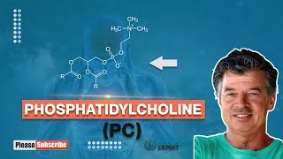 Phosphatidylcholine [upl. by Derna]