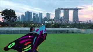 Kite Flying in Singapore  Marina Barrage [upl. by Loos]