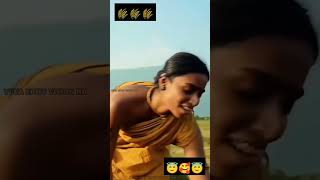 Thangalaan aruvadai song🌾🎵💓trending tamilsong shortsfeed ytviral subscribe [upl. by Hobie8]