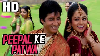 Peepal Ke Patwa Sonu Nigam Jaspinder Narula Sooryavansham 1999 Songs Amitabh Bachchan Soundarya [upl. by Carlynne123]