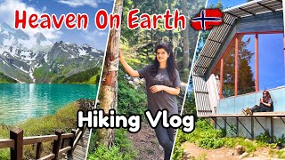 Hiking In Norway Vlog  Free Ki Cherries amp Blue Berries  Exploring Jungle  Life in Norway Vlog [upl. by Annaerb]