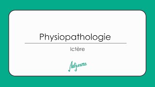 Tutorat physiopathologie  Ictère [upl. by Ahsoek440]