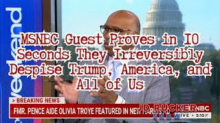 MSNBC Guest Proves in 10 Seconds They Irreversibly Despise Trump America and All of Us [upl. by Casavant]