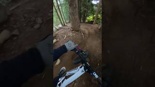 The Greatest Bike Park for a reason [upl. by Burn]