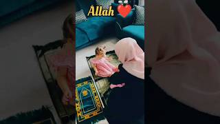 Beautiful girls hijab 🤩allah love shortvideo hijjab macca [upl. by Wolf]