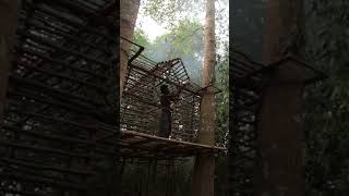 Survival Girl Building a Modern Private House One the Best in Jungle for Living Alone 1 [upl. by Leeban]