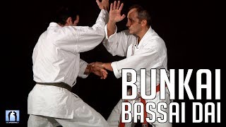 Bunkai Bassai Dai  KARATE  Bernard Bilicki [upl. by Lleynad528]