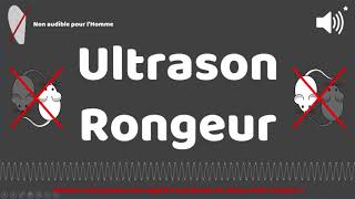 Puissant ultrason contre pour rongeur rats souris 1 HEURE [upl. by Alfi]