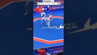 Unbelievable Taekwondo Top kicks highlights imp [upl. by Alliber211]