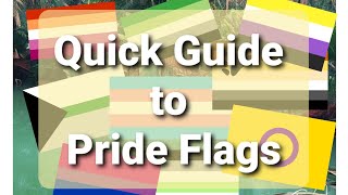 Quick Guide To Pride Flags [upl. by Jocelyn]