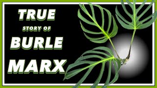 The Story of Burle Marx  Mini Plant Doc [upl. by Boony168]