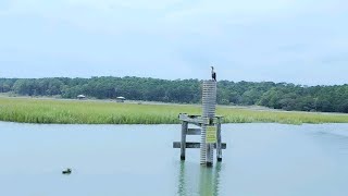 Huntington Beach State Park Pier Views [upl. by Gere227]