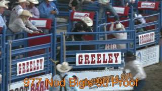 Beutler amp Son 2016 Wrangler National Finals Rodeo stock [upl. by Gnat]