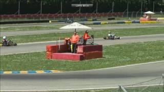 Rotax Max Euro Challenge 2016 Castelletto Senior Final [upl. by Nygem]