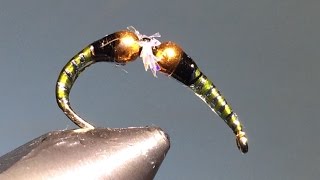 Kissing Chironomid Fly [upl. by Rebeh]