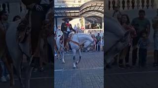 El Caballo de la Muerte  Desfile de Calaveras Monterrey 2024 [upl. by Meehahs]