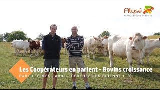 Les Coopérateurs Alysé en parlent  Bovins Croissance [upl. by Rihana]