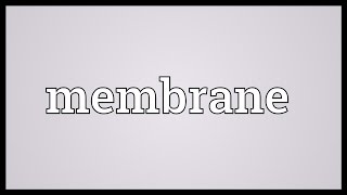 Membrane Meaning [upl. by Ursel]