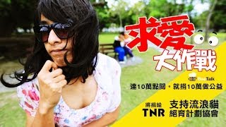 【10萬點閱 捐10萬公益 5】一起來幫助流浪貓。王子麵的約會之蔡阿嘎求愛大作戰 蔡阿嘎XBeeTalk [upl. by Decato]