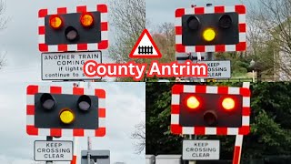 Northern Ireland Level Crossings in County Antrim Compilation [upl. by Avera]