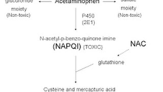 Acetaminophen Toxicity  Poisoning [upl. by Kentiggerma40]