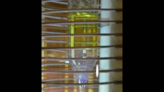 Time Lapse Crystal Growth KSr2I5Eu [upl. by Orbadiah829]