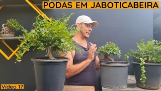 Dicas para cuidar das plantas no verão [upl. by Culver]