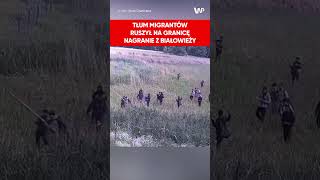 Ogromna grupa migrantów ruszyła na granicę w Białowieży [upl. by Oramlub745]