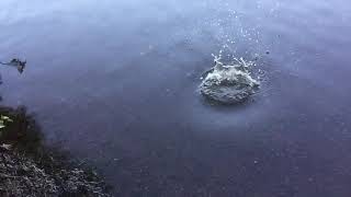 Slow Motion throwing a Rock In Water big ripples [upl. by Bausch402]