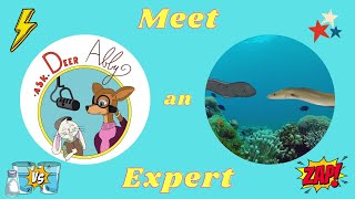 Meet An Animal Expert  Donny Eel and Evelyn Eel  Ask Deer Abby [upl. by Jaela]