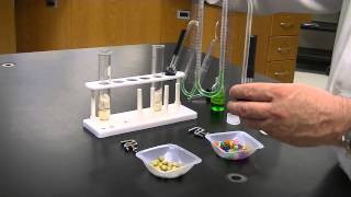 Cell Respiration Lab Using Hagge Respirometer [upl. by Atteynek849]