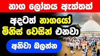 නාග ලෝකයෙන් කැලණියට වැඩි ධාතූන් සහ මිනිස් වෙසින් එන නාගයෝ Naga Lokaya Kelani Viharaya Temple [upl. by Naujed]