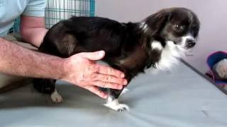 Therapeutic Exercises Video Knuckling [upl. by Buddy]