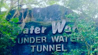 Water World Kelaniya🪼🐠 Mini Vlog River safari🚤 [upl. by Acirederf395]