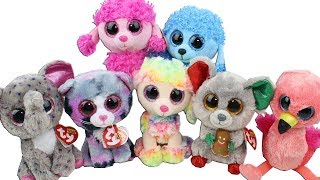 Beanie Boo Haul from Pat Catans Unboxing Toy Review TY Beanie Boos Plush [upl. by Phylys]