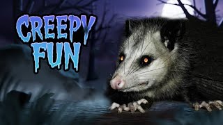 Halloween Opossum 🎃 [upl. by Issor595]