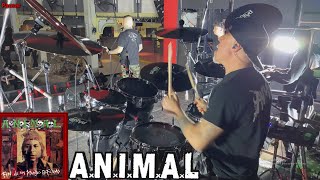 🚨 ANIMAL  Fin De Un Mundo Enfermo Marcelo Castro Drum Cam Prueba De Sonido Auditorio Oeste 🥁 [upl. by Emaj157]